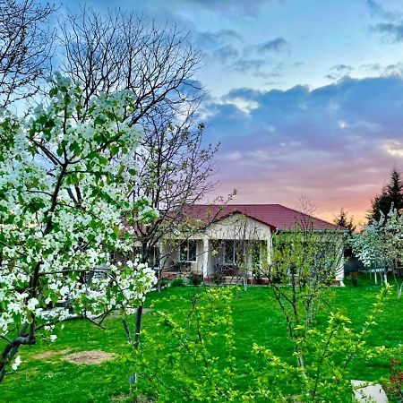 One Dom Cottage Kebele Dış mekan fotoğraf