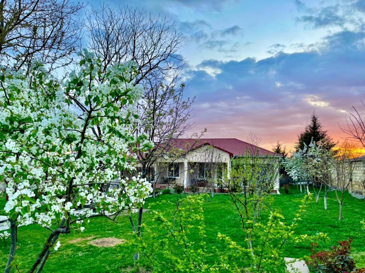One Dom Cottage Kebele Dış mekan fotoğraf